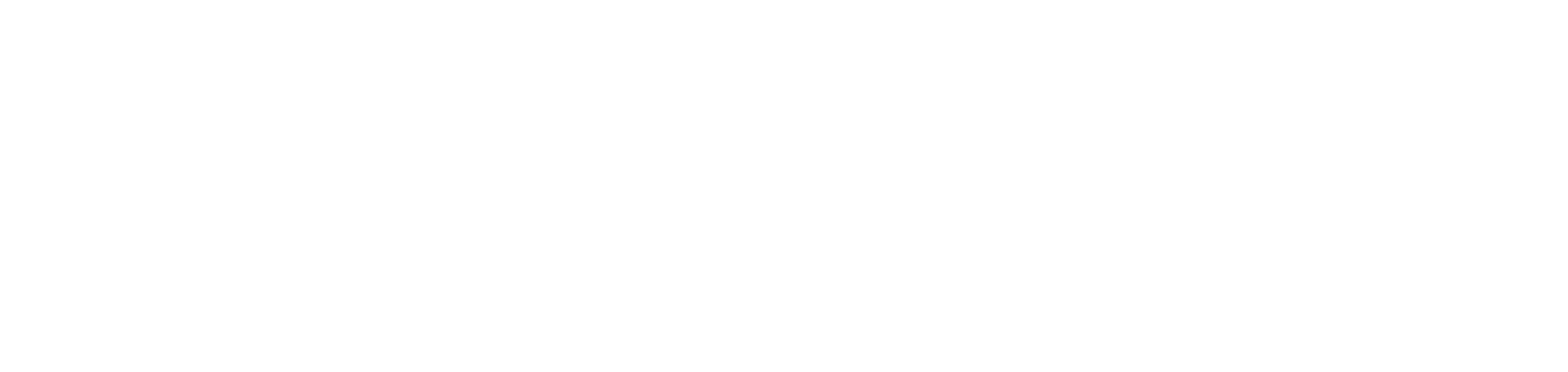 Stashie